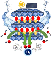 Graphical abstract: A green synthetic approach: crystalline–amorphous interface CoFe-LDH as a sustainable electrocatalyst for water oxidation with low cell voltage and evaluation of its sustainability standards