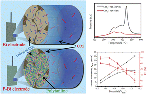 Graphical abstract: Strategic catalyst modification for boosting CO2 concentration at electrode surface and easing selective CO2 reduction at higher potential