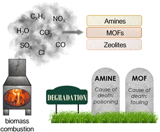Graphical abstract: Evaluating degradation of CO2 adsorbents in flue gas from bioenergy with carbon capture and storage