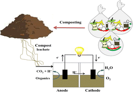 Graphical abstract: Simultaneous organic carbon, nitrogen removal, and electricity generation in a novel A4-MFC system for the treatment of leachate from a composting site: performance and modeling