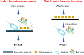 Graphical abstract: Integrative electrochemical and biological catalysis for the mild and efficient utilization of renewable electricity and carbon resources