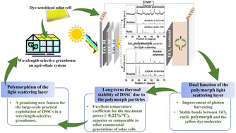 Graphical abstract: Towards the thermal stability of dye-sensitized solar cells for wavelength-selective greenhouses using the polymorphism of light-scattering layers