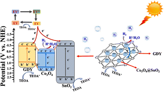 Graphical abstract: Co3O4@SnO2/graphdiyne type-II heterojunction and p–n heterojunction jointly enhance photocatalytic hydrogen production: Co–O–Sn bond as a bridge for electron transfer