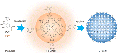 Graphical abstract: MOF-derived Fe–N–C electrocatalyst via a dual ligand strategy for efficient oxygen reduction in acidic media