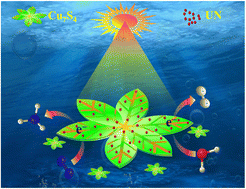 Graphical abstract: UiO-66(-NH2) crystal-decorated Cu7S4 snowflake-like nanoarchitectures with synergistic charge migration for enhanced photocatalytic H2 evolution and N2 fixation