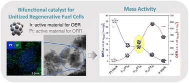 Graphical abstract: Bifunctional Pt–Ir nanoparticle catalysts for oxygen reduction and evolution reactions: investigating the influence of surface composition on the catalytic properties