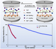 Graphical abstract: Highly improved aqueous Zn‖LiMn2O4 hybrid-ion batteries using poly(ethylene glycol) and manganese sulfate as electrolyte additives