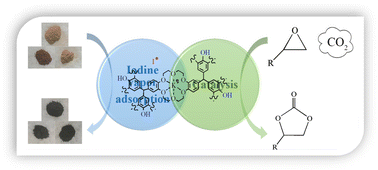 Graphical abstract: Optimization and kinetics of crown ether-based hydroxyl-rich organic polymers for sustainable CO2 fixation and iodine vapor adsorption