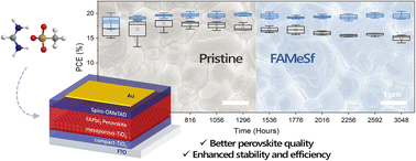 Graphical abstract: Enhancing FAPbI3 perovskite solar cell performance with a methanesulfonate-based additive