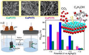 Graphical abstract: Fractal growth of a fern-like nanostructured Cu2O film electrode for electrochemical reduction of CO2 to ethanol