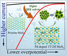 Graphical abstract: In situ Pd-doped MoS2 nanosheets as an HER electrocatalyst for enhanced electrocatalytic water splitting