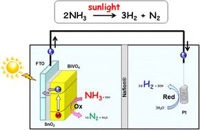 Graphical abstract: Solar-driven electrochemical NH3 splitting into H2 and N2 on BiVO4-based photoanodes