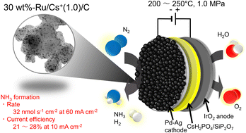 Graphical abstract: Ammonia synthesis from nitrogen and steam using electrochemical cells with a hydrogen-permeable membrane and Ru/Cs+/C catalysts