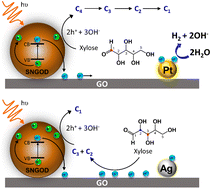 Graphical abstract: Co-catalyst design to control charge transfer and product composition for photocatalytic H2 production and biomass reforming