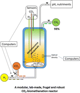 Graphical abstract: Development of a CO2-biomethanation reactor for producing methane from green H2