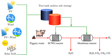 Graphical abstract: Piggery waste to sustainable fuels via indirect supercritical water gasification and membrane reforming at 600 °C: a techno-economic assessment