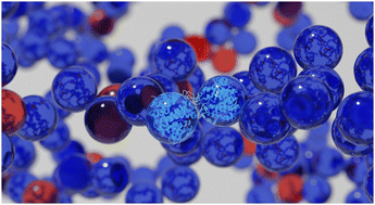 Graphical abstract: Patchy particle insights into self-assembly of transparent, graded index squid lenses