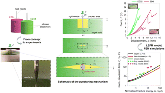 Graphical abstract: Puncturing of soft tissues: experimental and fracture mechanics-based study