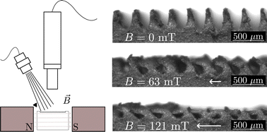 Graphical abstract: Dynamically tunable lamellar surface structures from magnetoactive elastomers driven by a uniform magnetic field