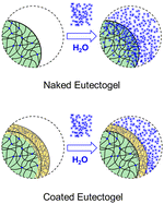 Graphical abstract: Encapsulating eutectogels for stretchable humidity-resistant strain sensors