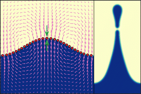 Graphical abstract: Fluid interfaces laden by force dipoles: towards active matter-driven microfluidic flows