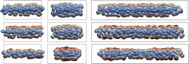 Graphical abstract: Rheology and structure of elastic capsule suspensions within rectangular channels