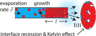 Graphical abstract: Confined directional drying of a colloidal dispersion: kinetic modeling