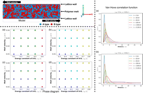 Graphical abstract: Molecular dynamics study of shear-induced lamellar alignment of ABA triblock copolymer thin films