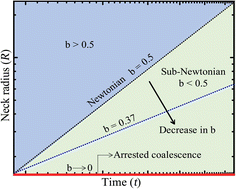 Graphical abstract: Sub-Newtonian coalescence in polymeric fluids