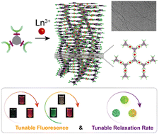 Graphical abstract: Hierarchical self-assembly of metal–organic supramolecular fibers with lanthanide-derived functionalities