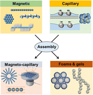 Graphical abstract: Assembly and manipulation of responsive and flexible colloidal structures by magnetic and capillary interactions