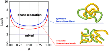 Graphical abstract: Miscibility and exchange chemical potential of ring polymers in symmetric ring–ring blends