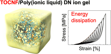 Graphical abstract: Toughening of poly(ionic liquid)-based ion gels with cellulose nanofibers as a sacrificial network