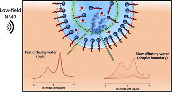 Graphical abstract: Effect of surfactant concentration on diffusion and microstructure in water-in-oil emulsions studied by low-field benchtop NMR and optical microscopy