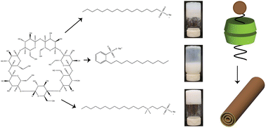Graphical abstract: Rheological dynamics and structural characteristics of supramolecular assemblies of β-cyclodextrin and sulfonic surfactants