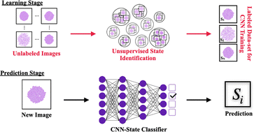 Graphical abstract: Convolutional neural network-based colloidal self-assembly state classification