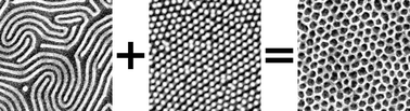 Graphical abstract: Responsive blends of block copolymers stabilize the hexagonally perforated lamellae morphology