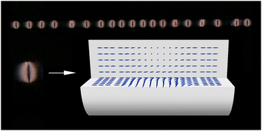 Graphical abstract: Photopolymerization of 1D photonic structures induced by nematic–isotropic phase transition in liquid crystal