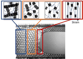 Graphical abstract: Effect of temperature, rate, and molecular weight on the failure behavior of soft block copoly(ether–ester) thermoplastic elastomers