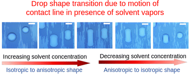 Graphical abstract: Contact line motion in dewetted polymer droplets on anisotropic nanopatterned surfaces