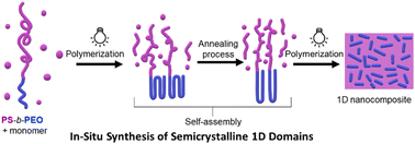 Graphical abstract: Controlling block copolymer one-dimensional self-assembly in polymeric matrices