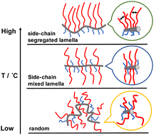 Graphical abstract: Order–order transitions in poly(N-octadecyl acrylamide-co-hydroxyethyl acrylamide) statistical copolymer films