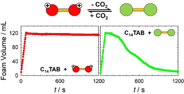 Graphical abstract: Influence of a CO2-switchable additive on the surface and foaming properties of a cationic non-switchable surfactant