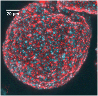 Graphical abstract: Pickering emulsions stabilized with differently charged particles