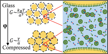 Graphical abstract: Glassy and compressed nanoemulsions stabilized with sodium dodecyl sulfate in the presence of poly(ethylene glycol)-diacrylate