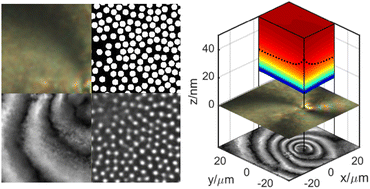 Graphical abstract: Energy landscapes on polymerized liquid crystal interfaces