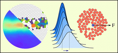 Graphical abstract: Adiabatic limit collapse and local interaction effects in non-linear active microrheology molecular simulations of two-dimensional fluids