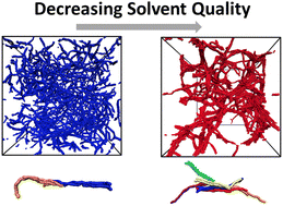 Graphical abstract: Effects of solvent conditions on the self-assembly of heterotrimeric collagen-like peptide (CLP) triple helices: a coarse-grained simulation study