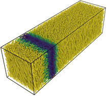 Graphical abstract: A coarse-grained molecular model of amyloid fibrils systems