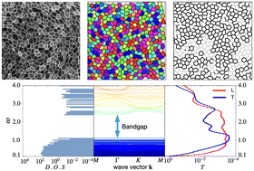 Graphical abstract: Nature-inspired designs for disordered acoustic bandgap materials